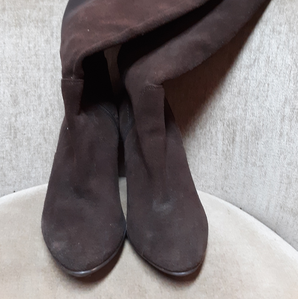 Lane Bryant - Picture 3 of 6